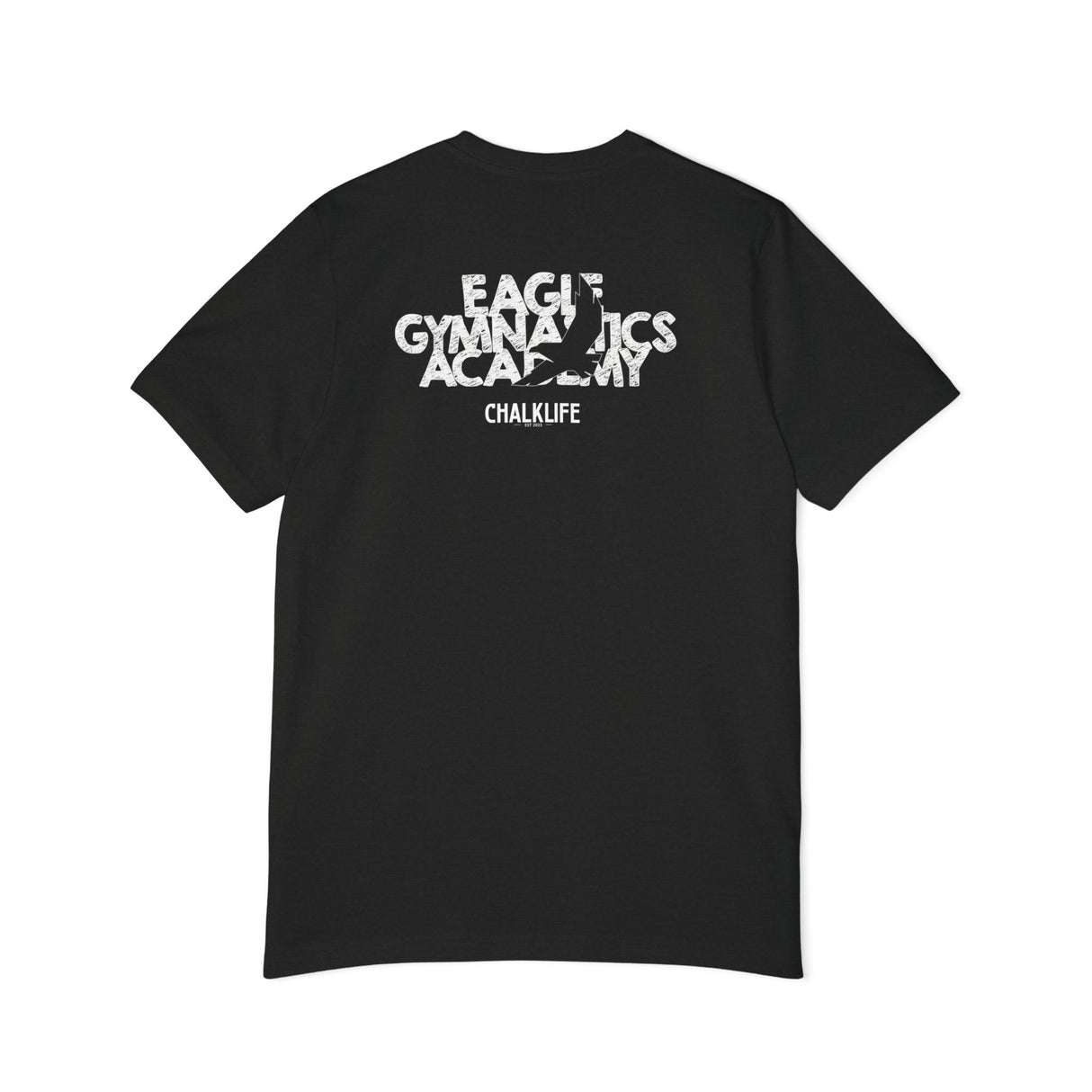 Pommel Coach - Eagle Gymnastics - Chalklife, LLC